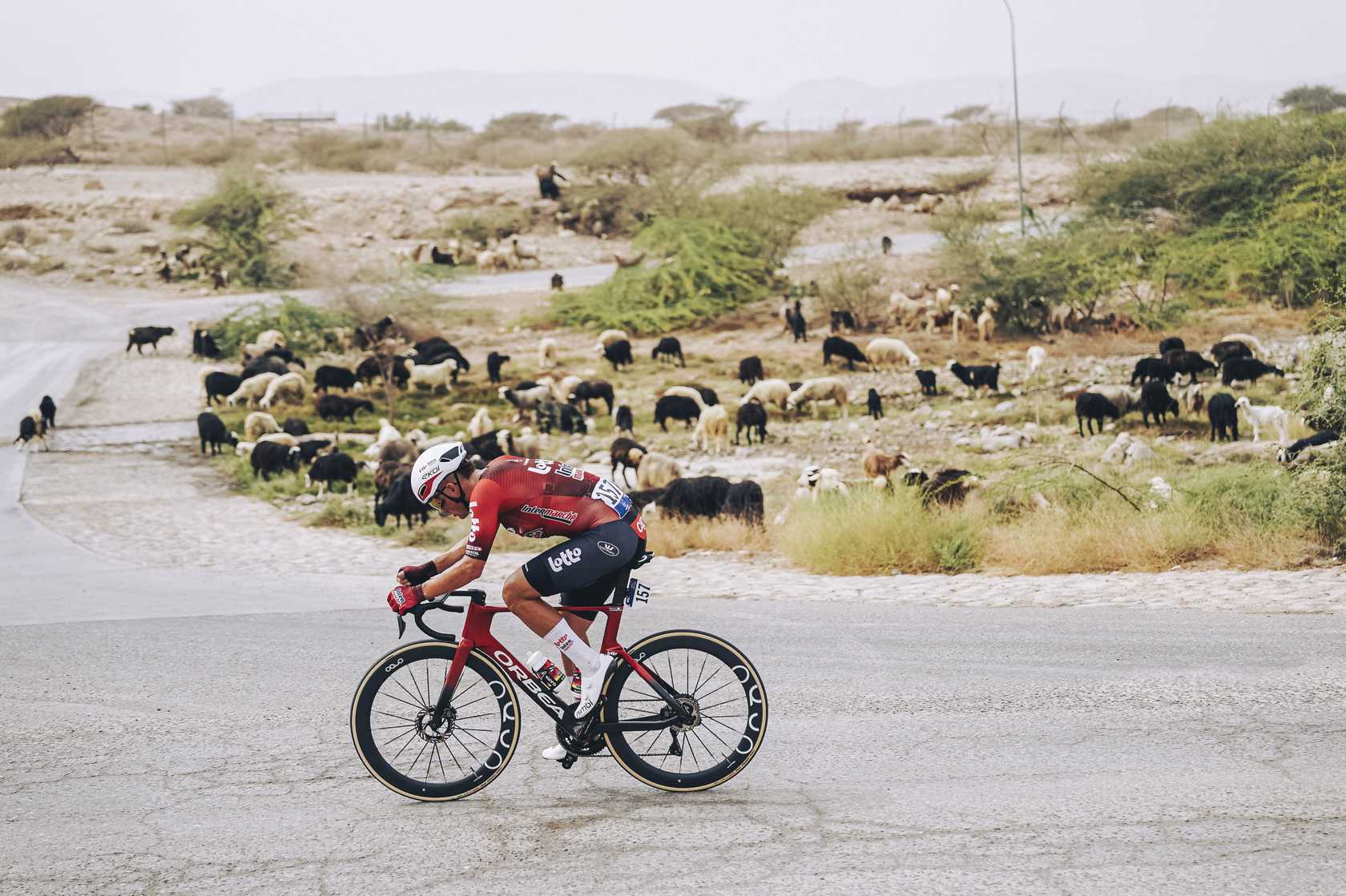 20260206TOO2039_A.S.O.-Gaëtan Flamme.jpg